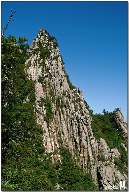 DSCF1283.jpg