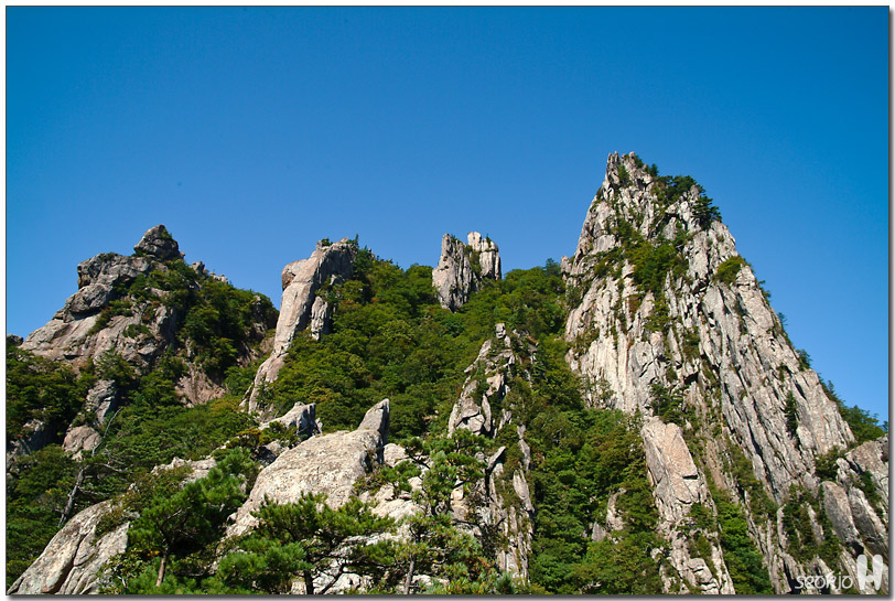 DSCF1285.jpg