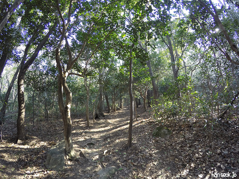 GOPR3450.jpg