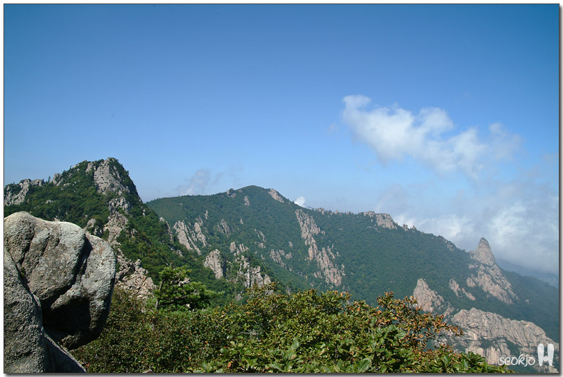 DSCF1309.jpg