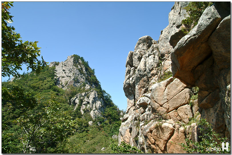 DSCF1316.jpg