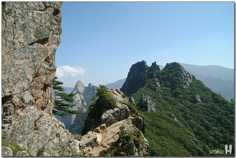 DSCF1317.jpg