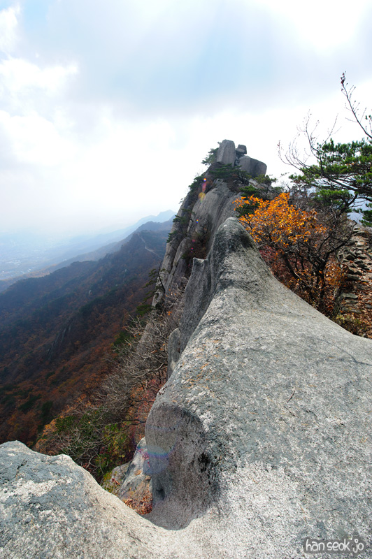 HSJ_5879.jpg