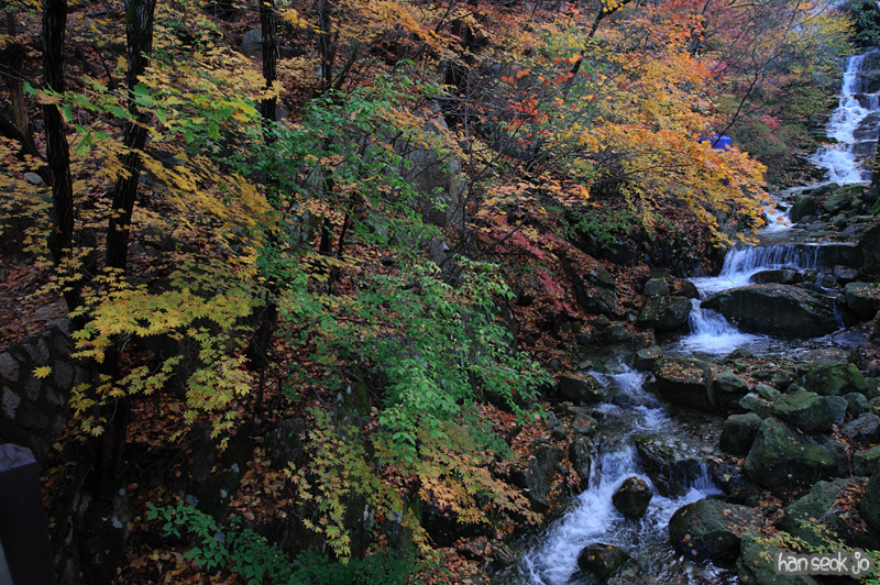 HSJ_5789.jpg