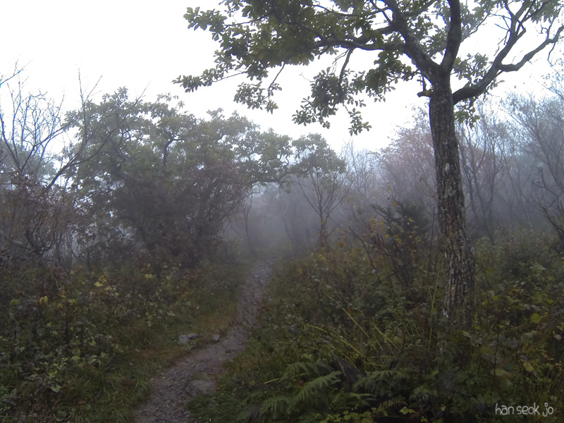 GOPR0083.jpg