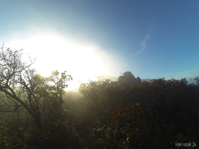GOPR0147.jpg