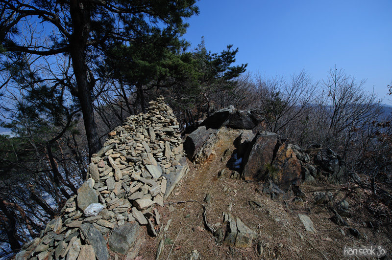 HSJ_8100.jpg