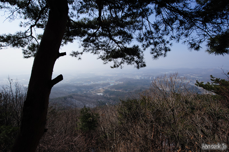 HSJ_8098.jpg
