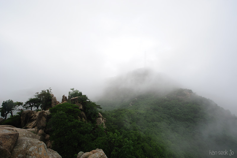 HSJ_0656.jpg