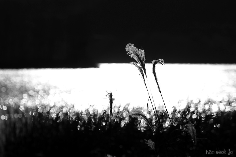 DSC_8114.jpg