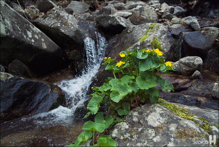 DSCF0339.jpg