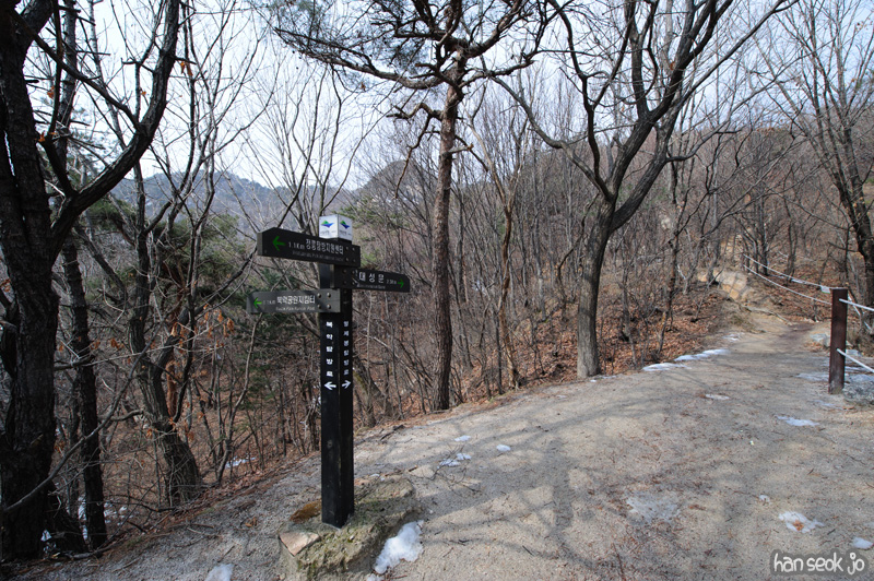 HSJ_8112.jpg