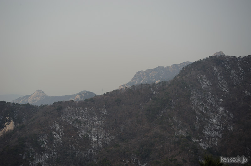 HSJ_8121.jpg