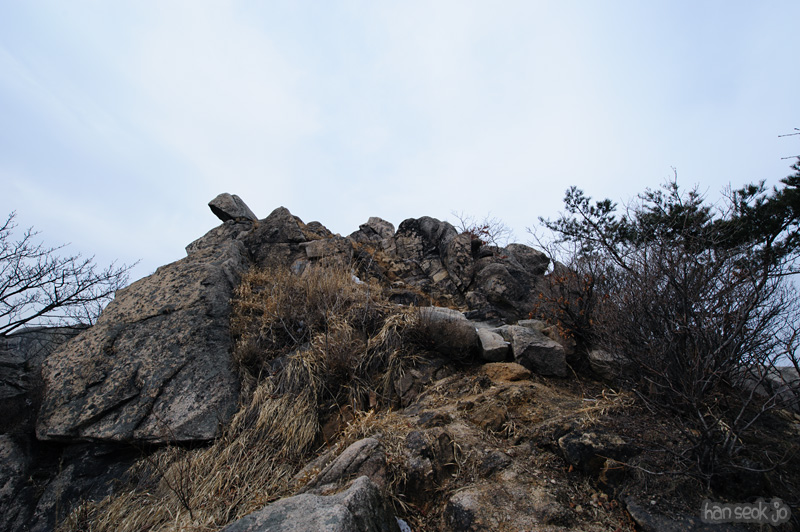HSJ_8130.jpg