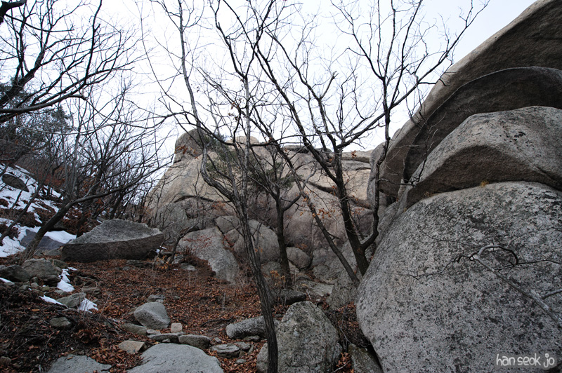HSJ_8126.jpg