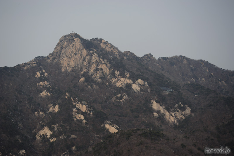 HSJ_8120.jpg