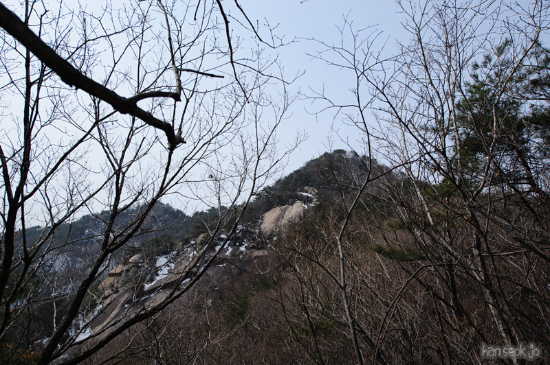 HSJ_8113.jpg