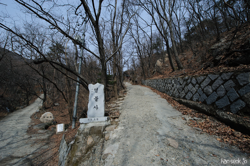 HSJ_8110.jpg