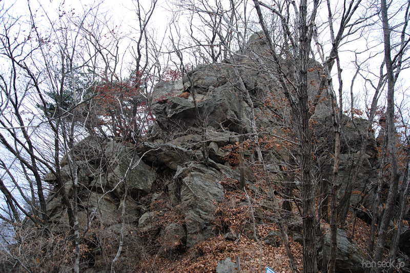 HSJ_6335.jpg