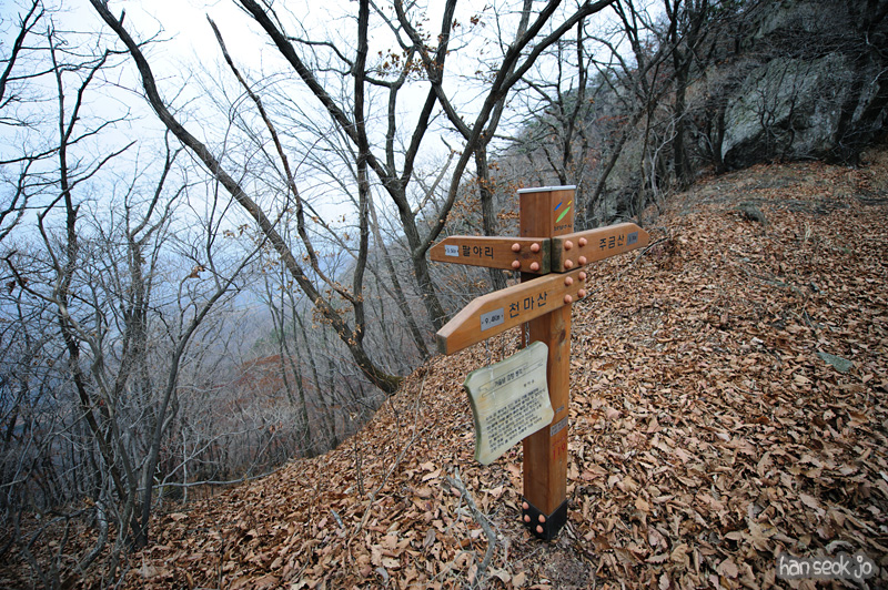 HSJ_6361.jpg