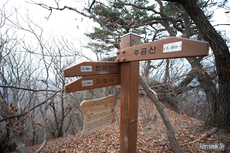 HSJ_6359.jpg