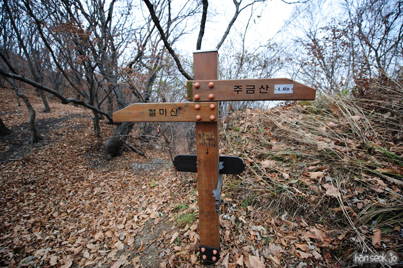 HSJ_6363.jpg