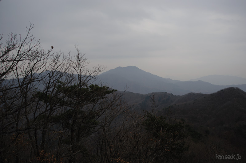HSJ_6352.jpg