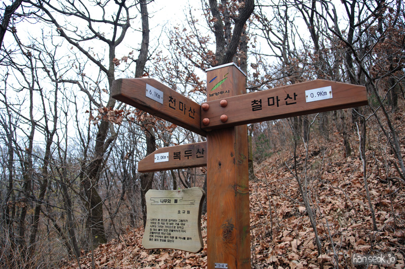 HSJ_6350.jpg