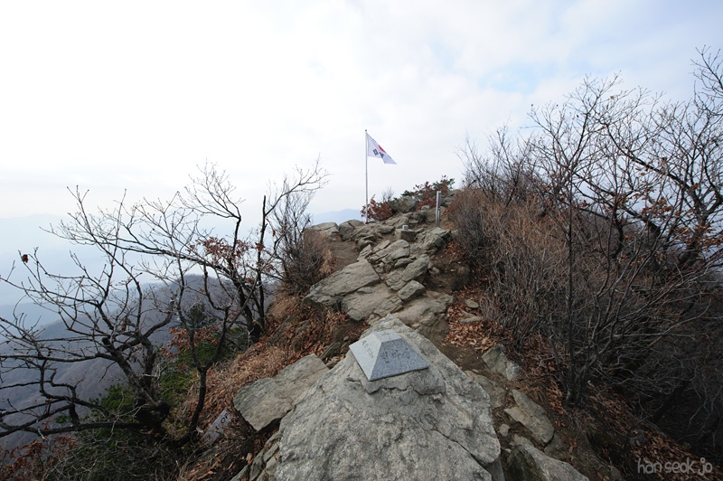 HSJ_6317.jpg