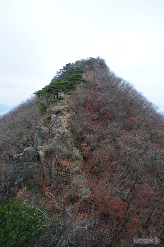 HSJ_6324.jpg