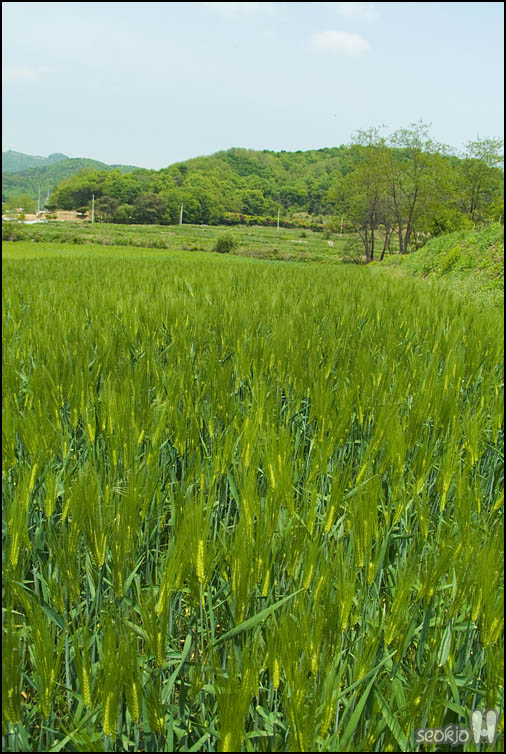 DSCF0705.jpg