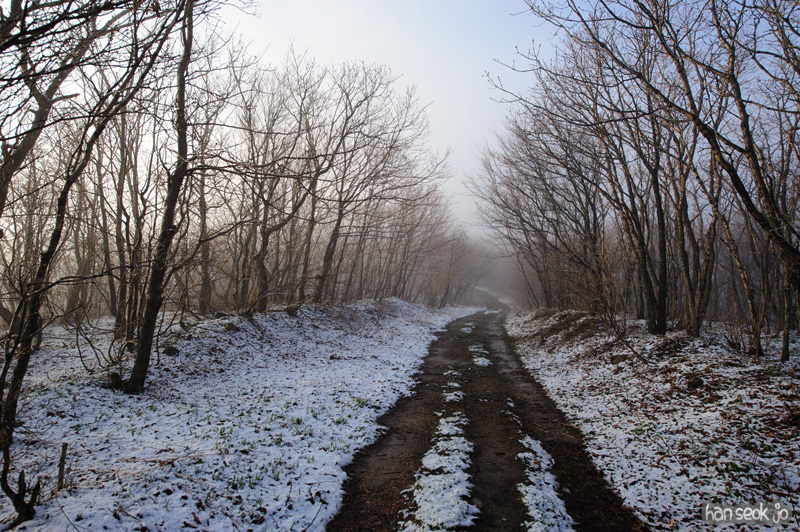 HSJ_9279.jpg