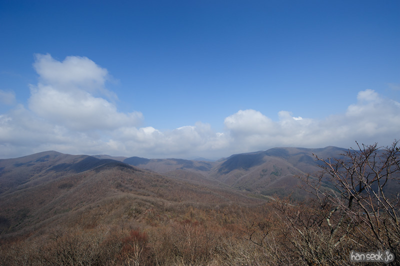HSJ_9348.jpg
