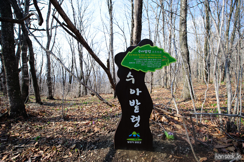 HSJ_9340.jpg