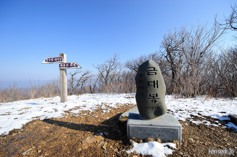 HSJ_9333.jpg