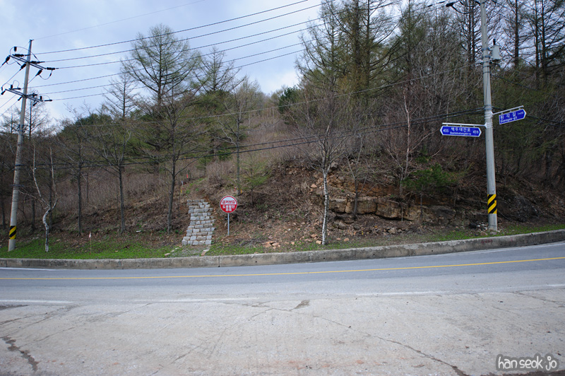 HSJ_9393.jpg