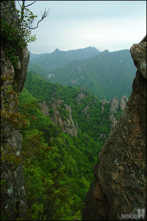 DSCF1077.jpg