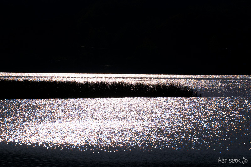 DSC_8123.jpg
