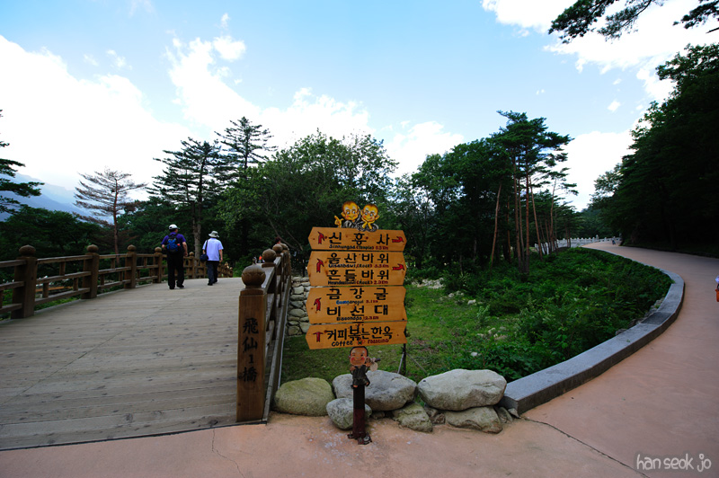 HSJ_0678.jpg