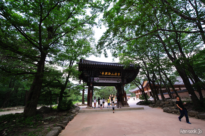 HSJ_0674.jpg