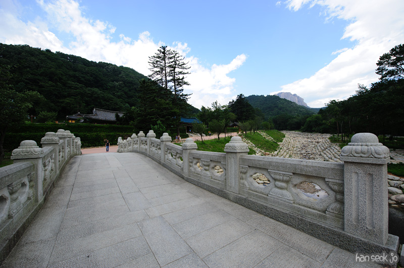 HSJ_0679.jpg