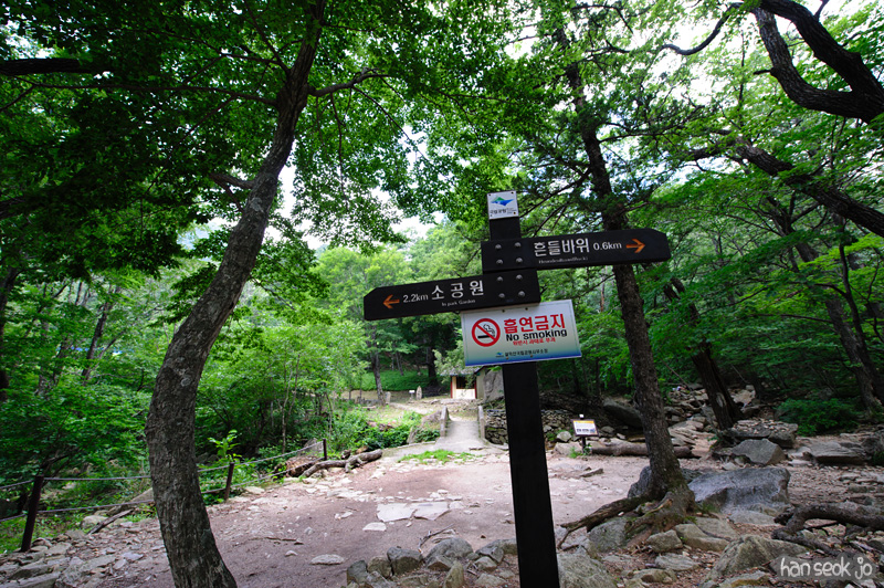 HSJ_0687.jpg