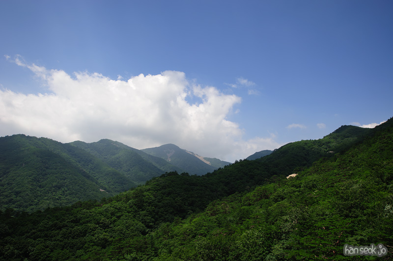 HSJ_0699.jpg