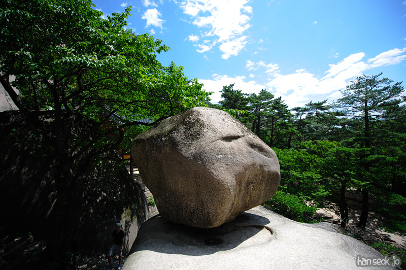 HSJ_0695.jpg