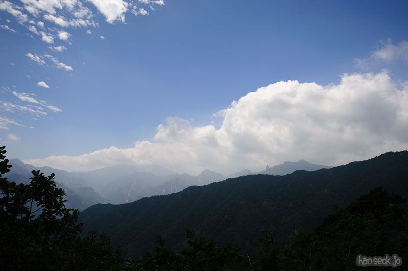 HSJ_0703.jpg