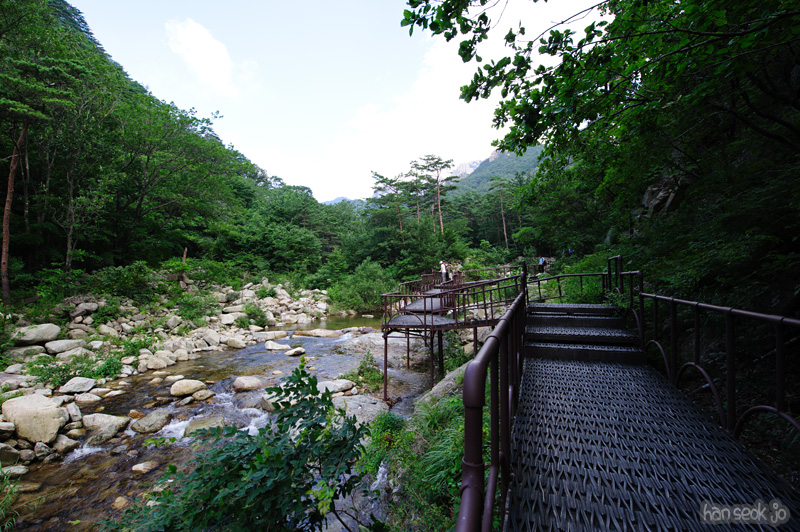 HSJ_0684.jpg