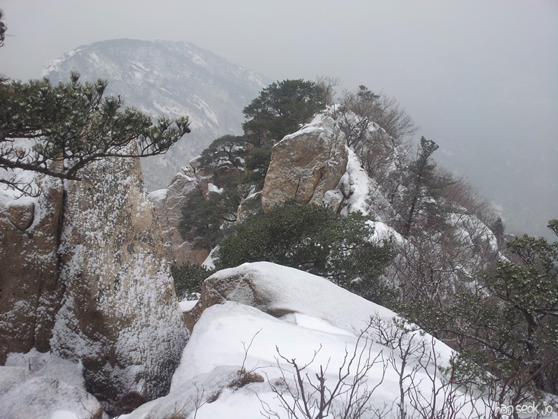 20130116f.jpg