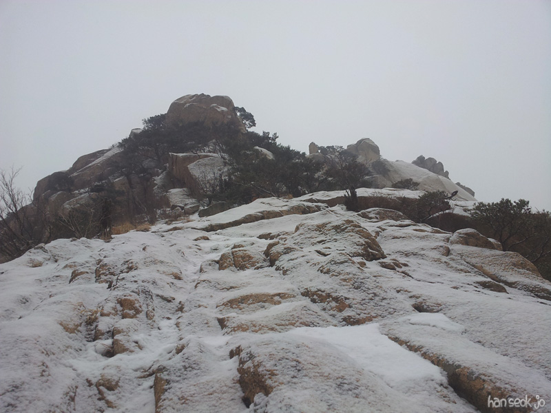 20130116c.jpg