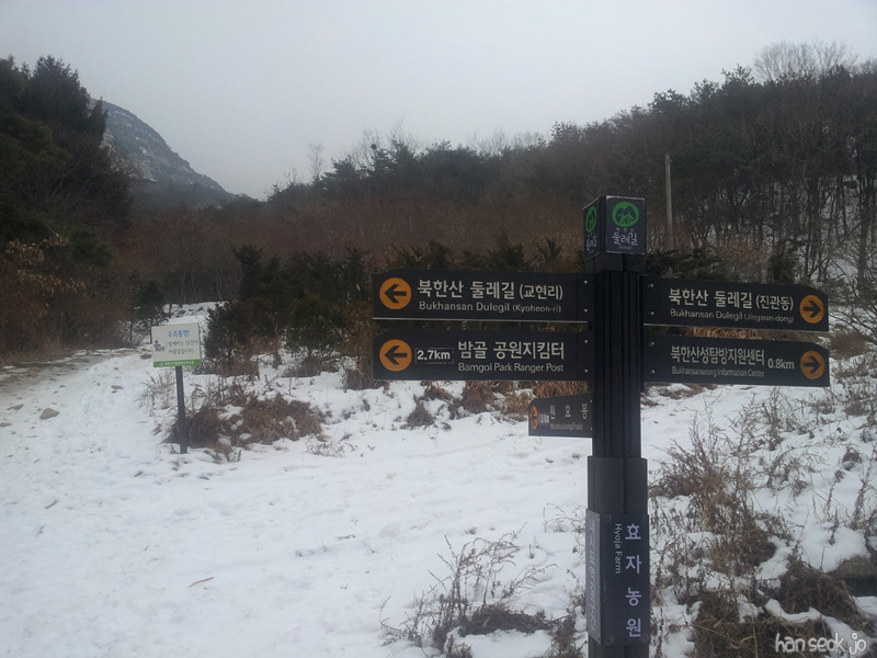 20130116b.jpg