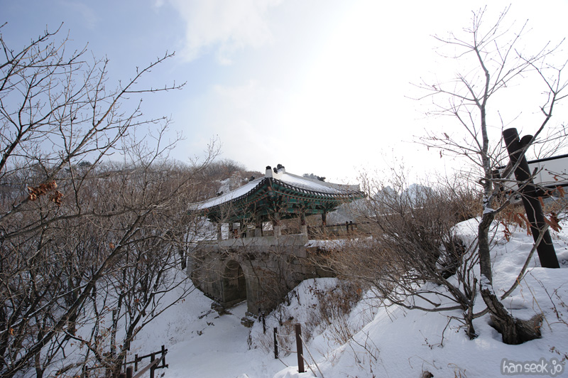 HSJ_7223.jpg